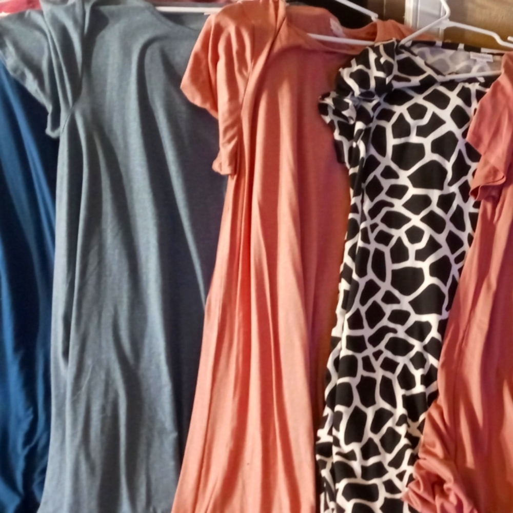 LuLaRoe plus size dress purge